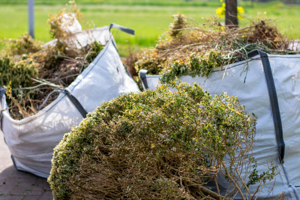 Best Junk Removal Near Me  in Burnham, IL